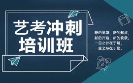 郑州艺考冲刺班